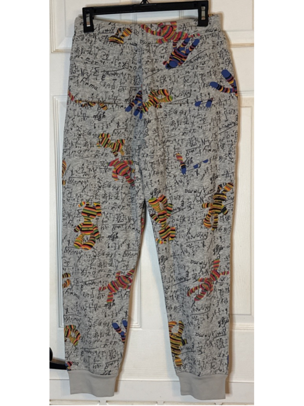 PERFECT FOR A MATH TEACHER!!! Easel Gray Multicolor Graphic Print Joggers - Picture 3 of 5